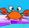 Décore ton aquarium